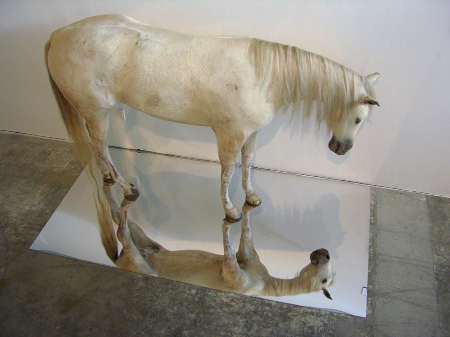 day in the life of a dead horse dada conceptual art