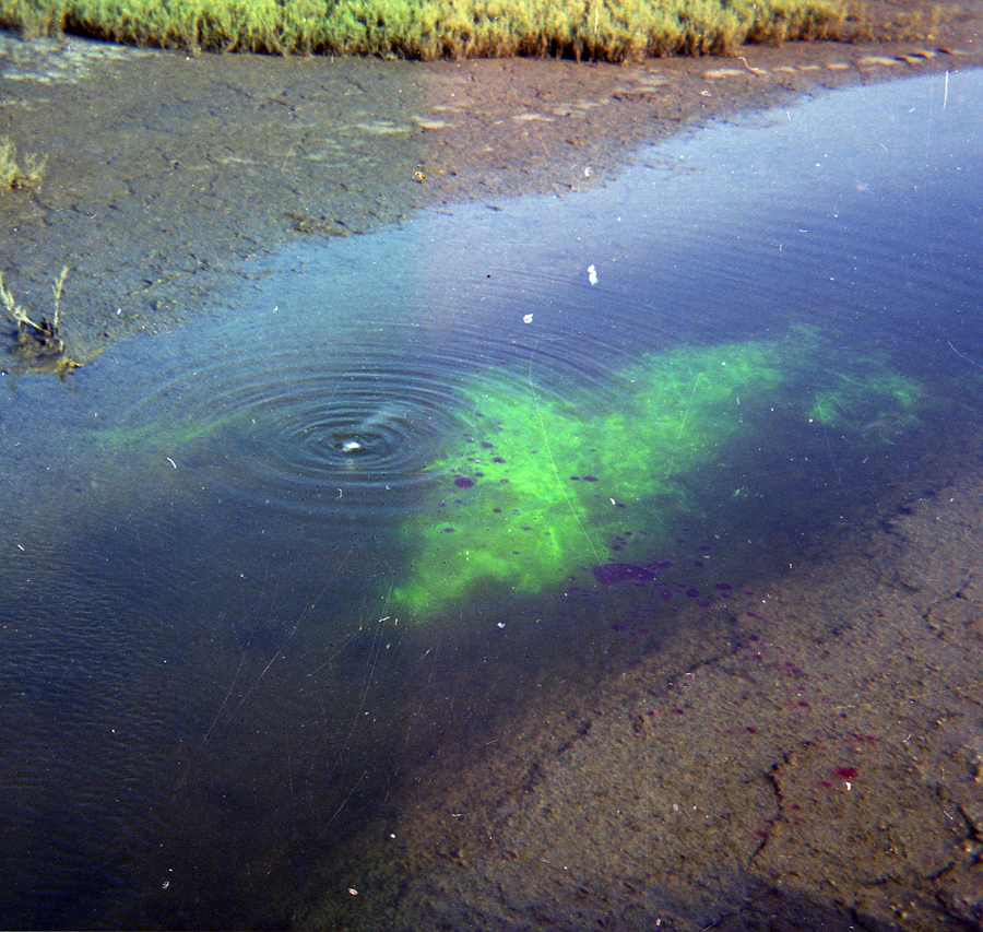 sculpture conceptual art piatt del mar earthwork