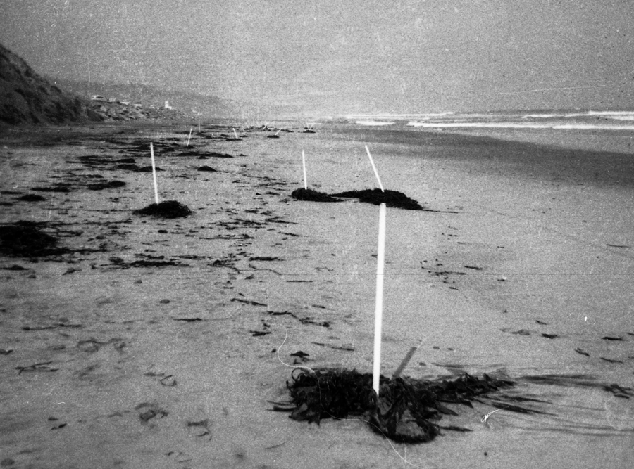 conceptual art san diego sculpture earthwork