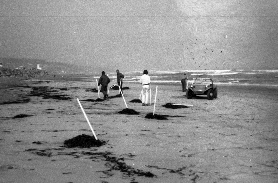 conceptual art san diego sculpture earthwork